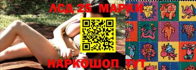 шишки Апшеронск