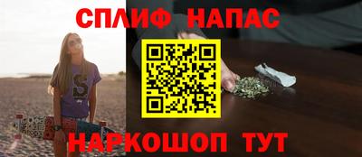 шишки Апшеронск