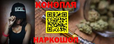 шишки Апшеронск