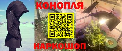 сатива Апрелевка