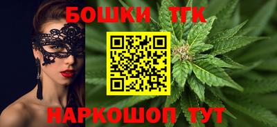 шишки Апшеронск