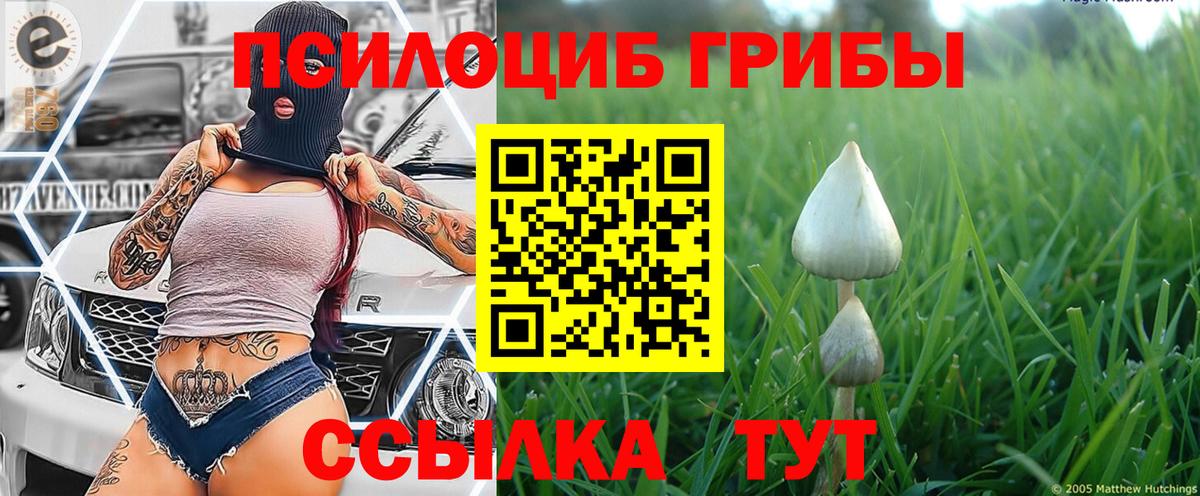 наркошоп  Галлюциногенные грибы прущие грибы  Галлюциногенные грибы Cubensis  Вход с VPN  Апрелевка 